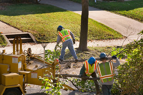 Best Emergency Tree Removal  in Savannah, GA